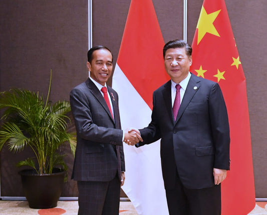 Expanding Trade Horizons: Indonesia Eyes Greater Export of Edible Bird's Nests to China